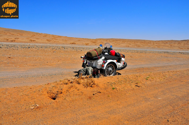 Mongolie